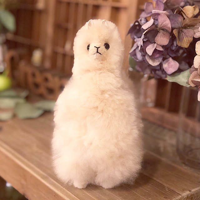 UNI.mamaさんの実例写真