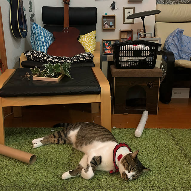 jijiさんの実例写真