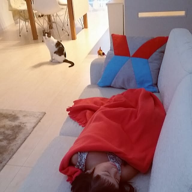 runayucoさんの実例写真