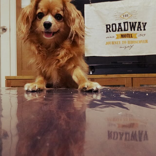 NATTUさんの実例写真