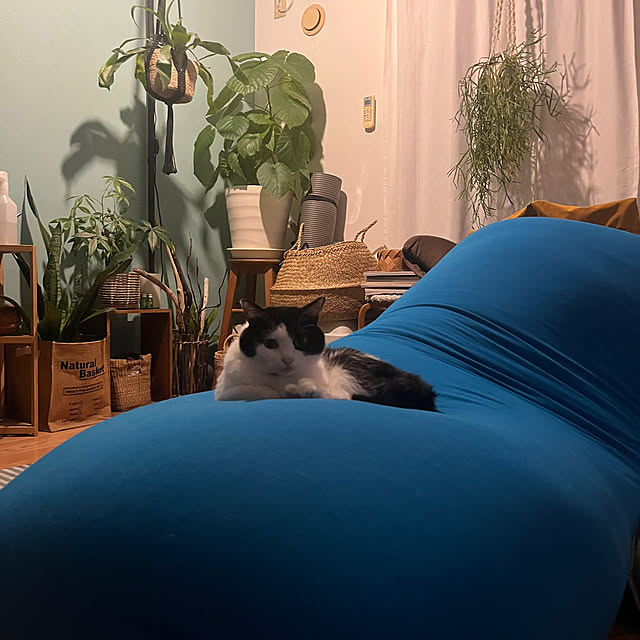 mtaさんの実例写真