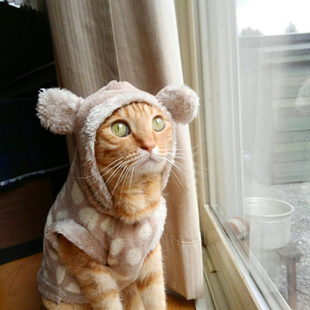 mayutan.さんの実例写真