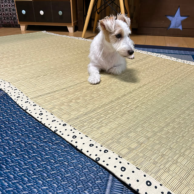 Fumiさんの部屋