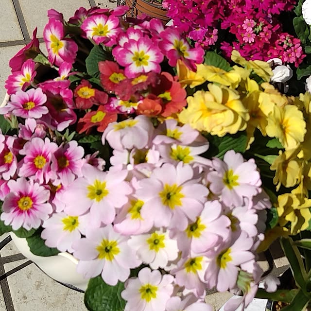 katさんの実例写真