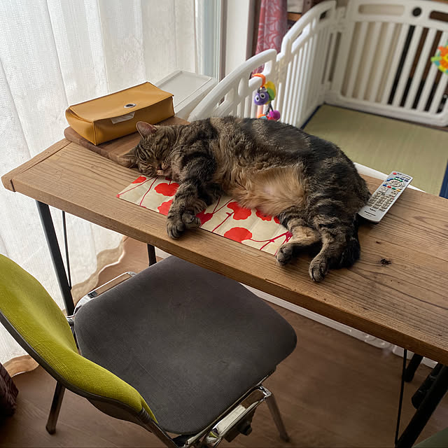 mikomaruさんの実例写真