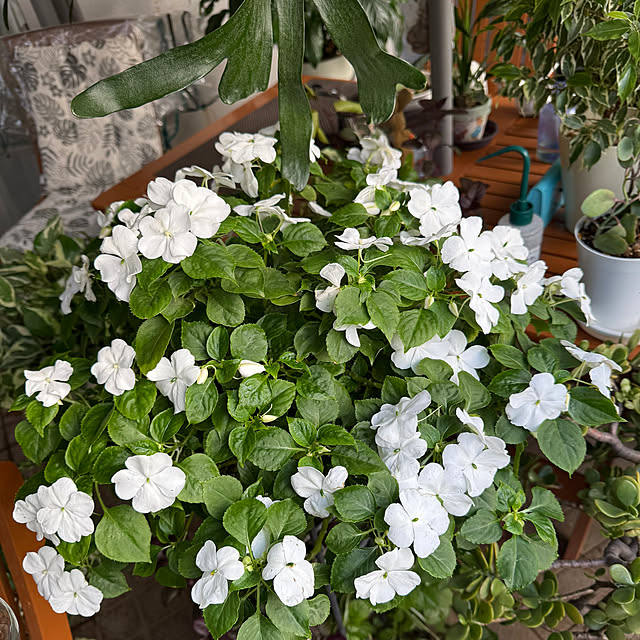 Aqettyさんの部屋