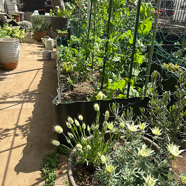 botanさんの部屋