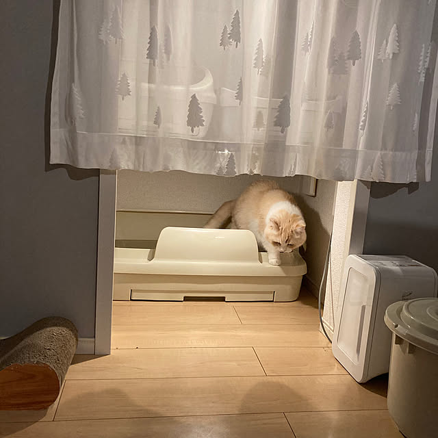 H.Tさんの部屋