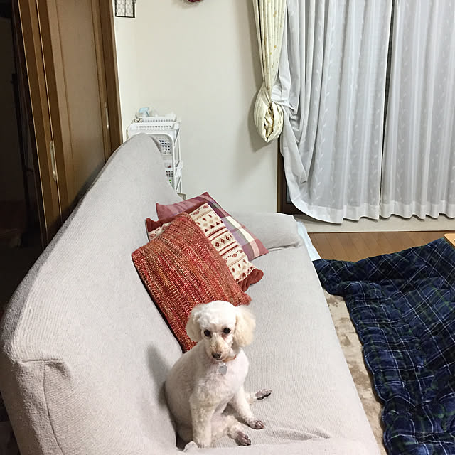 Junran50さんの実例写真