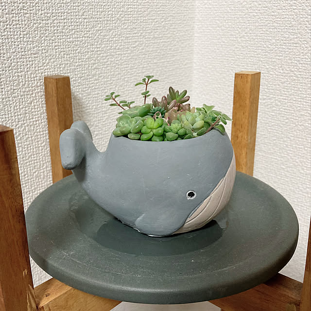 gumiさんの実例写真