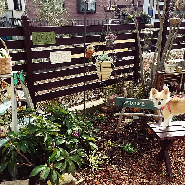 Akaneさんの実例写真