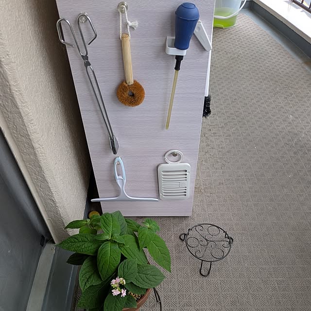mi-saさんの部屋