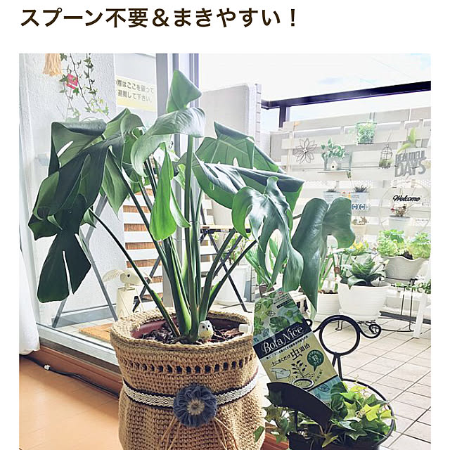 yukimaruさんの実例写真