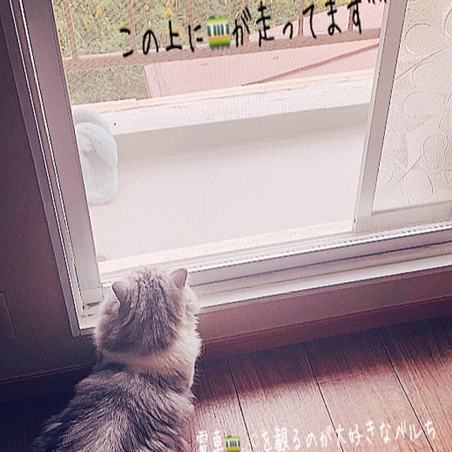 ai.333さんの実例写真