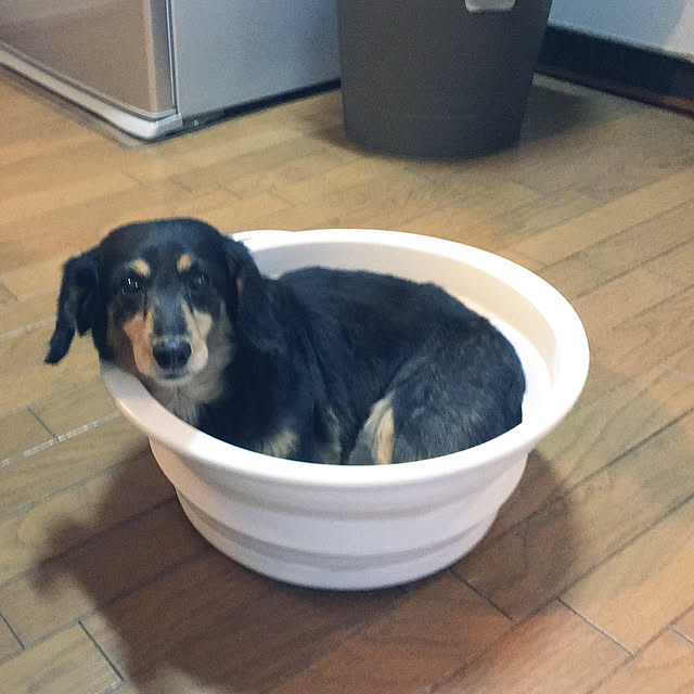 ohanaさんの実例写真