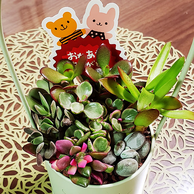 k.r.k.kさんの実例写真