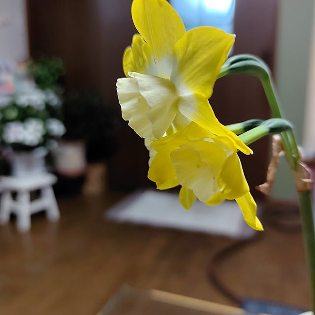 kiraさんの部屋