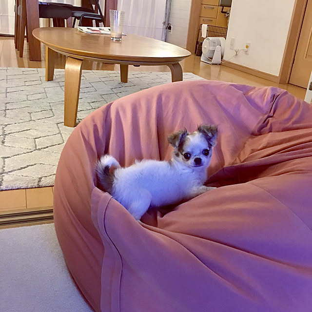 haritakaさんの実例写真
