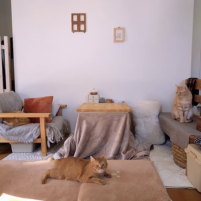 mayutan.さんの実例写真