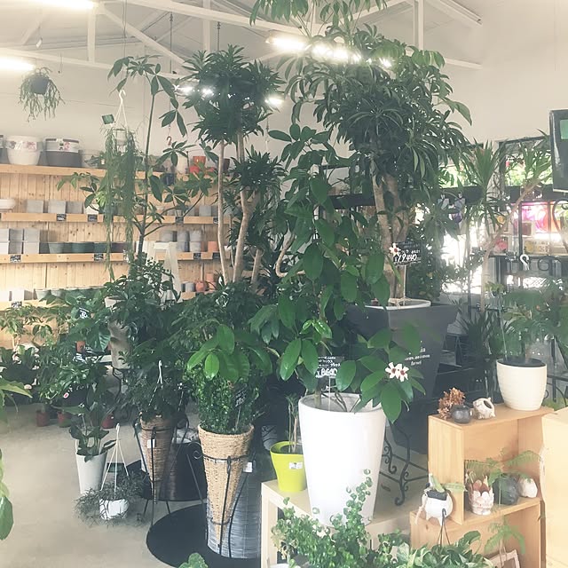 GREENJAMさんの実例写真