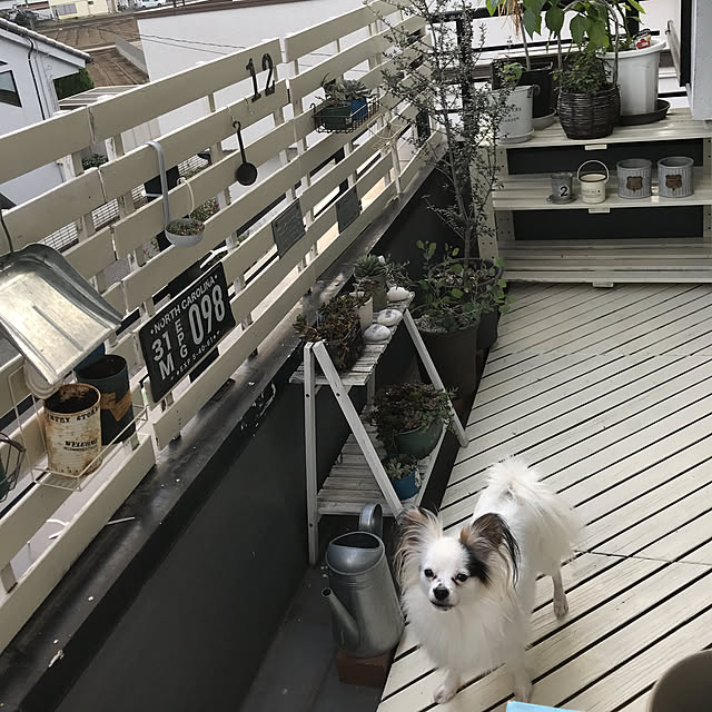 Akikoさんの実例写真