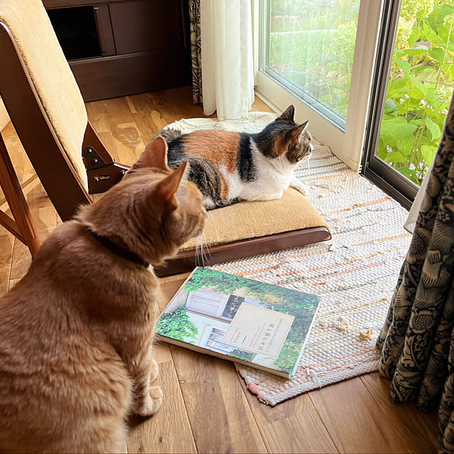 Maruさんの部屋