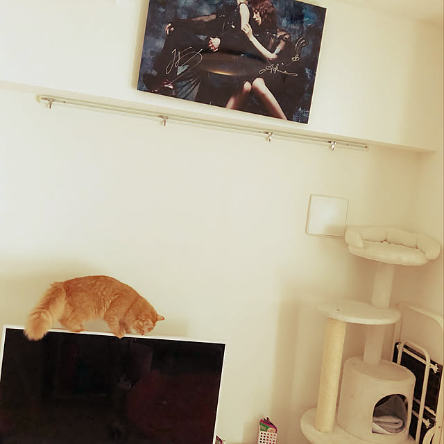 Mayuさんの実例写真