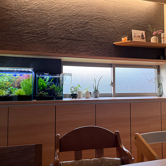 Sakaさんの実例写真