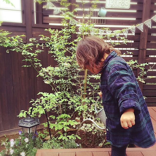 ayuさんの実例写真