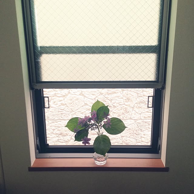 mayuhimeさんの実例写真
