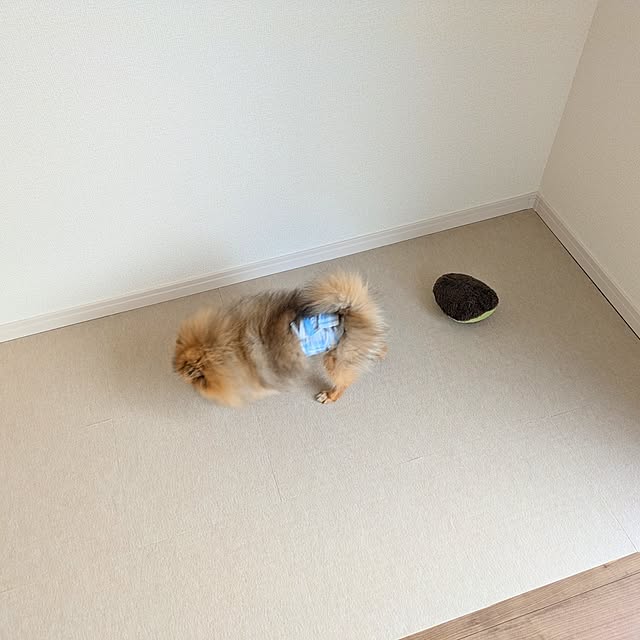 avovo7さんの部屋