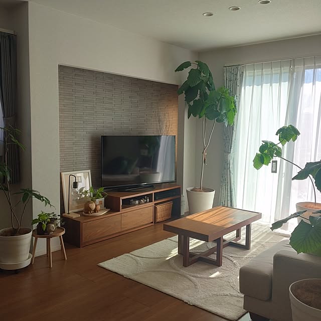 tan5さんの部屋