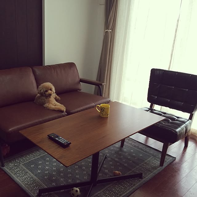 11reo08さんの実例写真
