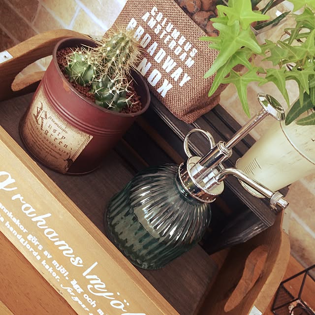 棚/DIY/観葉植物/セリアのインテリア実例 - 2016-04-09 10:37:44