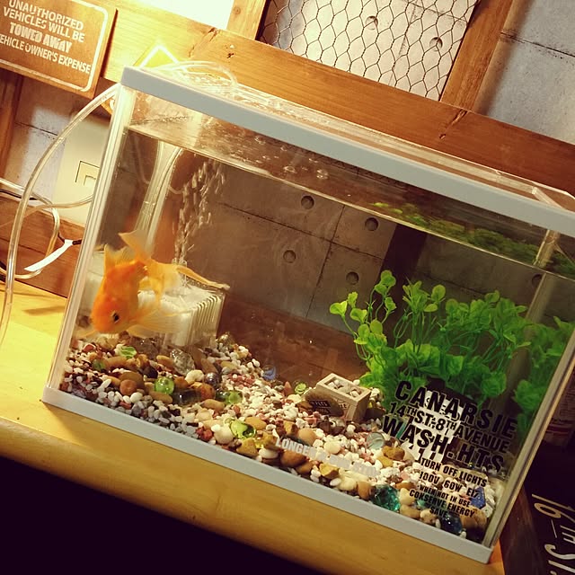 rita9kさんの実例写真