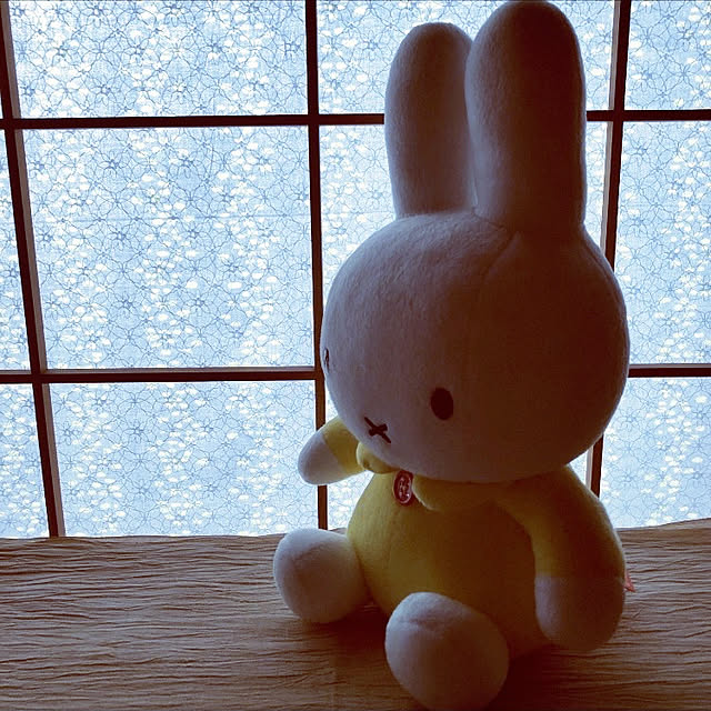 chacoさんの実例写真