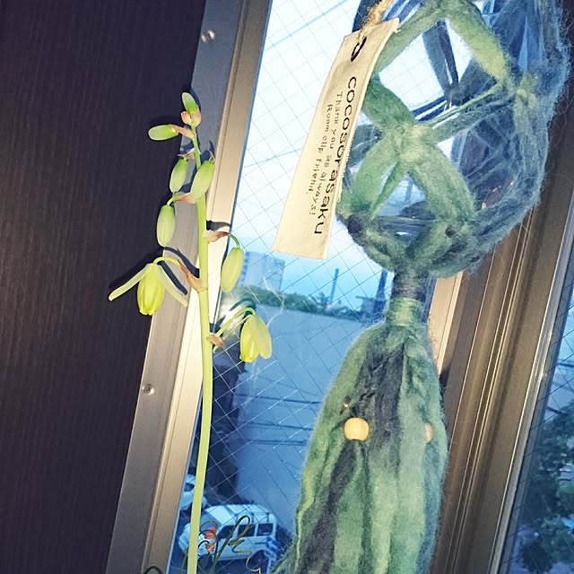 cocosorasakuさんの実例写真