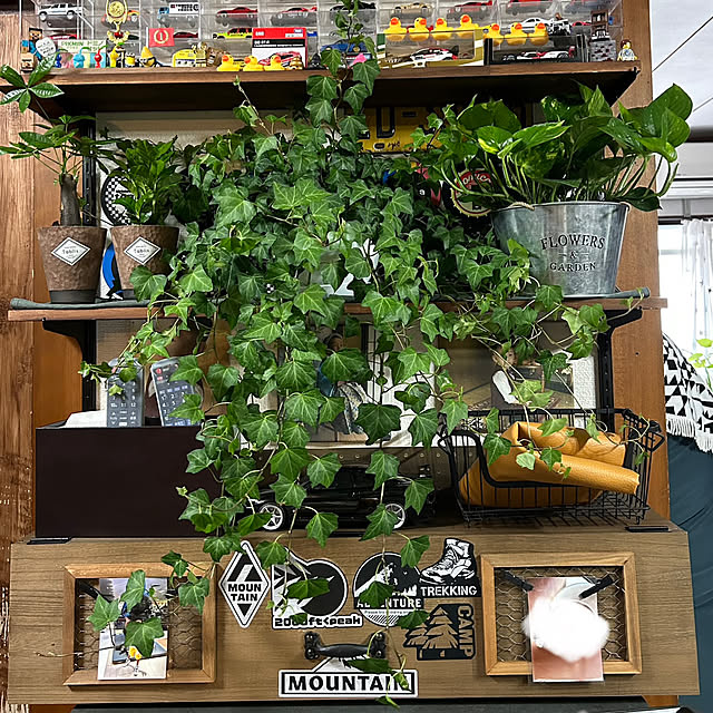 piさんの部屋