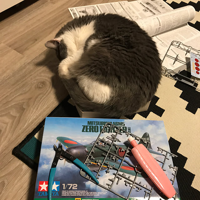 実例写真