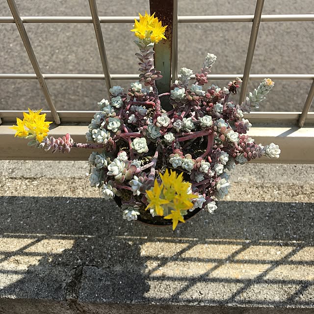 sanw2225719さんの実例写真