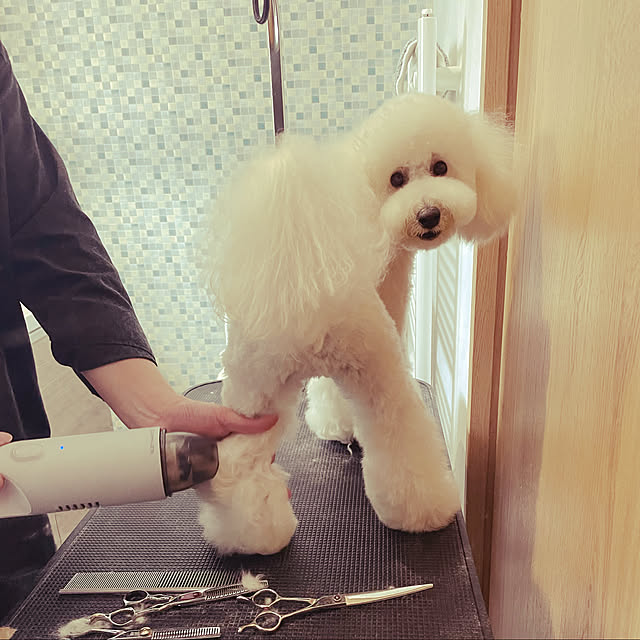 tnrpechikoさんの実例写真