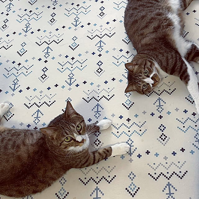 marinkarinさんの実例写真