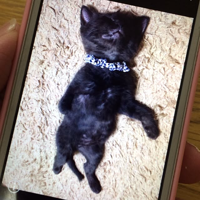 aksさんの実例写真