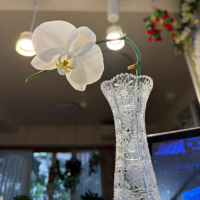 Aqettyさんの部屋