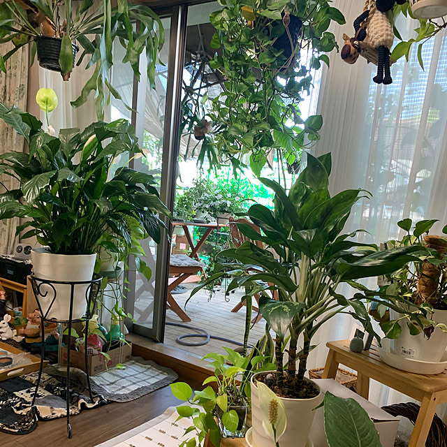 Aqettyさんの部屋