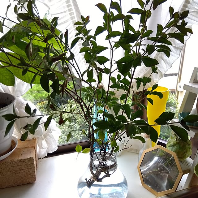 coco1204さんの部屋