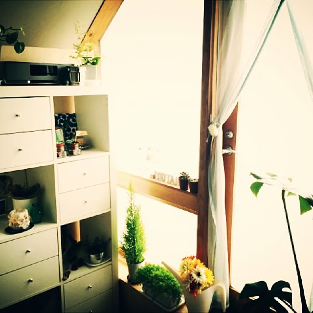 BIRDさんの実例写真