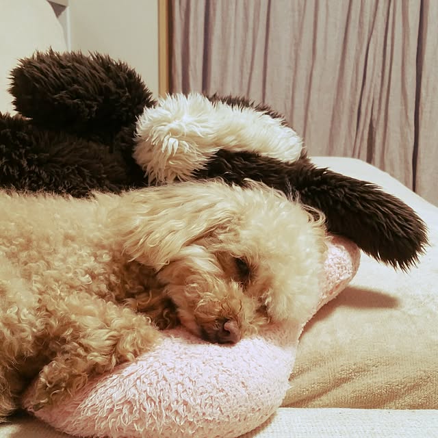 katuminaloveさんの実例写真