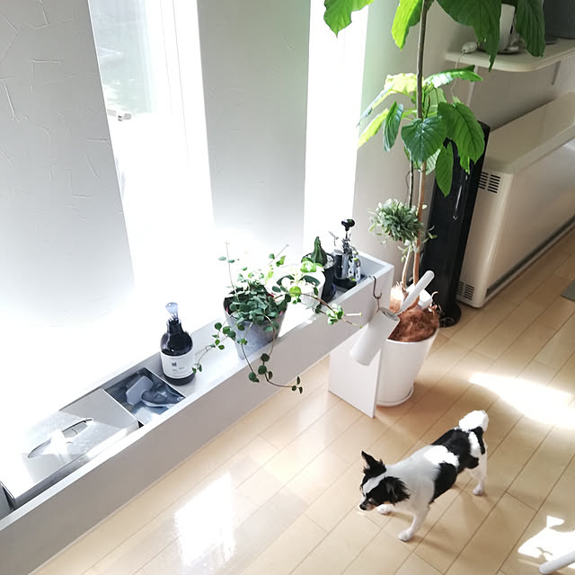 milさんの実例写真