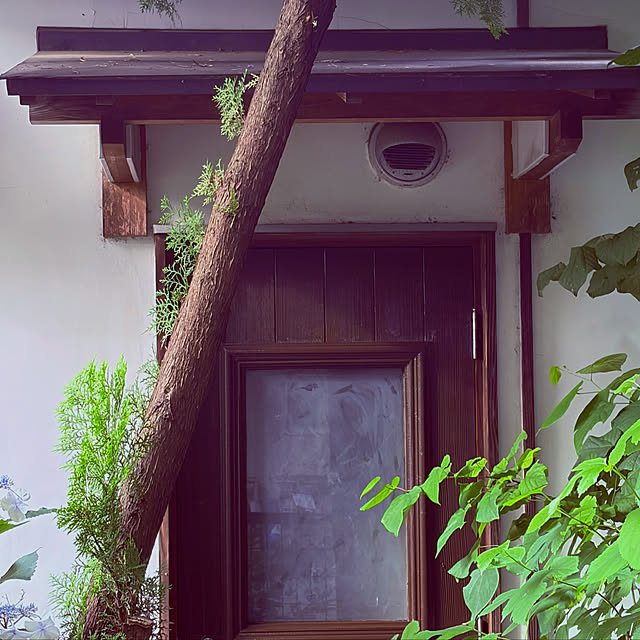 chacoさんの部屋